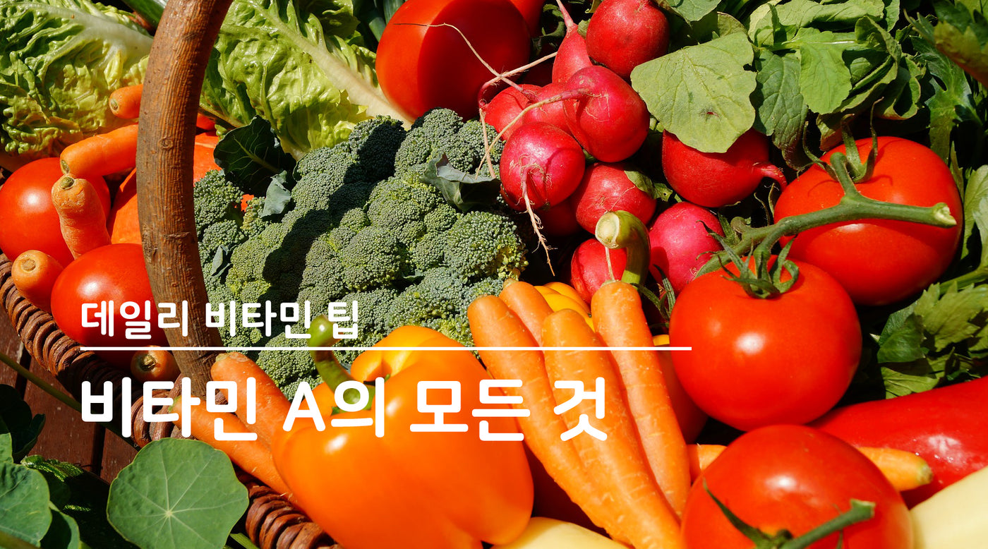 눈 건강에 중요한 비타민 A 총정리 (역할, 효능, 권장 섭취량, 주의사항)
