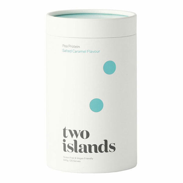 식물성 단백질 파우더 500g