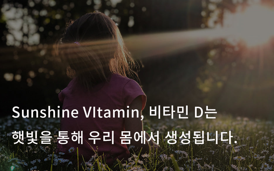 햇살보다 빛나는 건강 "비타민 D" 꼭 알아야 할 건강 향상 포인트 (효능, 권장섭취량, 주의사항)